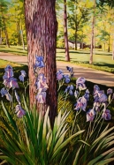 Blue Iris around Tree